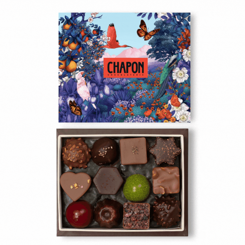 Coffret 12 chocolats Jardin Merveilleux Chocolaterie Chapon