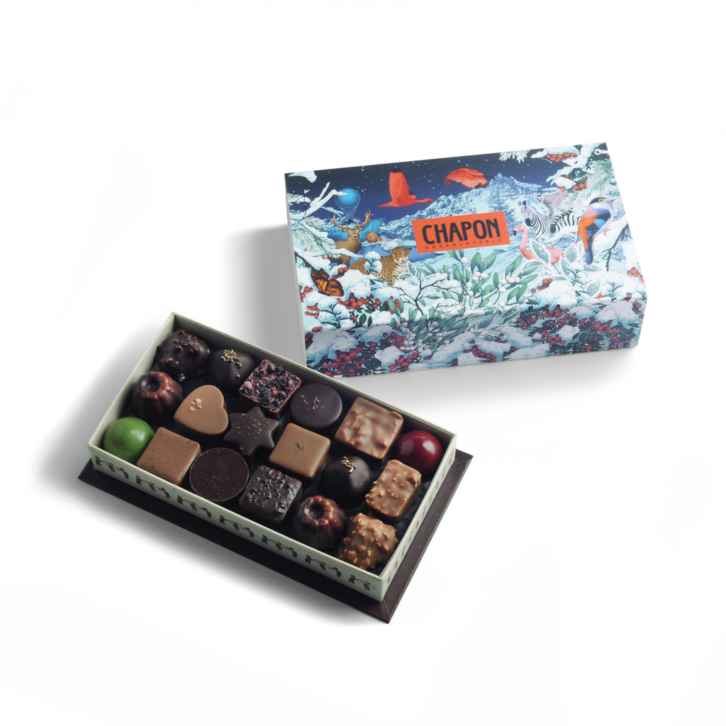 Meilleures Papillotes Chocolat Prix Pas Cher En Ligne Chocolatier –  Chocolaterie Chapon