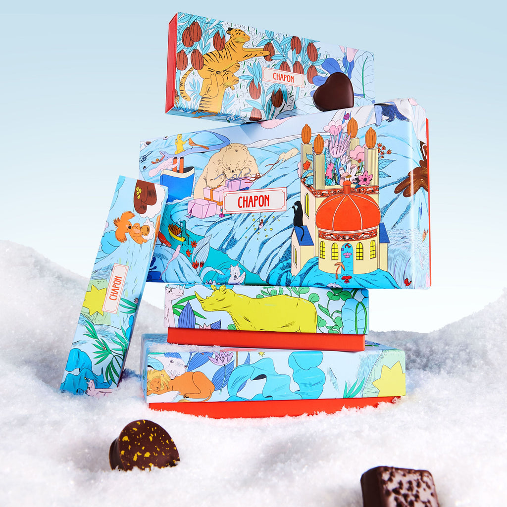 Noël - Merveilleuse Épopée en Chaponie