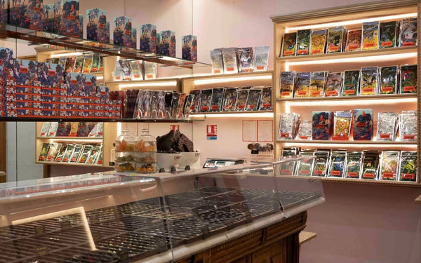 Boutique Mozart